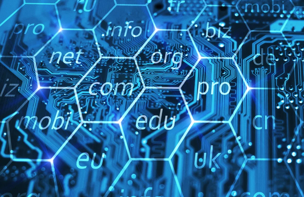 องค์ประกอบ Domain Name System